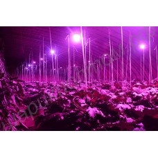 LED лампа для выращивания растений 18Вт 220В