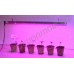 Мощная светодиодная фитолинейка для рассады, цветов и аквариумных растений "Кастор", гарантийное обслуживание - 1 год