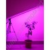 LED светильник для растений на штативе "Везен", гарантийное обслуживание - 1 год