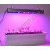 Лампа для выращивания растений на мощных 10Вт красных и синих светодиодах «Денеб», гарантийное обслуживание - 1 год