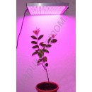 LED grow панель мощностью 48 Вт - 720 Вт "Поллукс" для выращивания рассады, цветов, комнатных растений, гарантийное обслуживание - 1 год