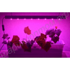Светильник фитосветодиодный для растений на подоконнике «Спика», гарантийное обслуживание - 1 год