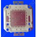 Светодиодный чип с красными и синими составляющими мощностью 20Вт для подсветки растений