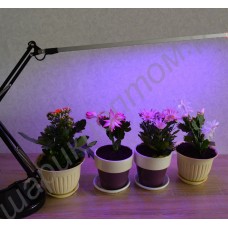 Лампа настольная для комнатных растений с регулируемым кронштейном «Алиот», гарантийное обслуживание - 1 год