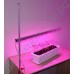Светильник для растений с регулировкой высоты и креплением к столу «Принцепс», гарантийное обслуживание - 1 год
