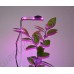 Подсветка для растений в горшке «Фейт», гарантийное обслуживание - 1 год