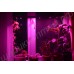 Оконная светодиодная лампа для растений "Васат" 30Вт, гарантийное обслуживание - 1 год