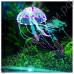 Аквариумные медузы декоративные разноцветные